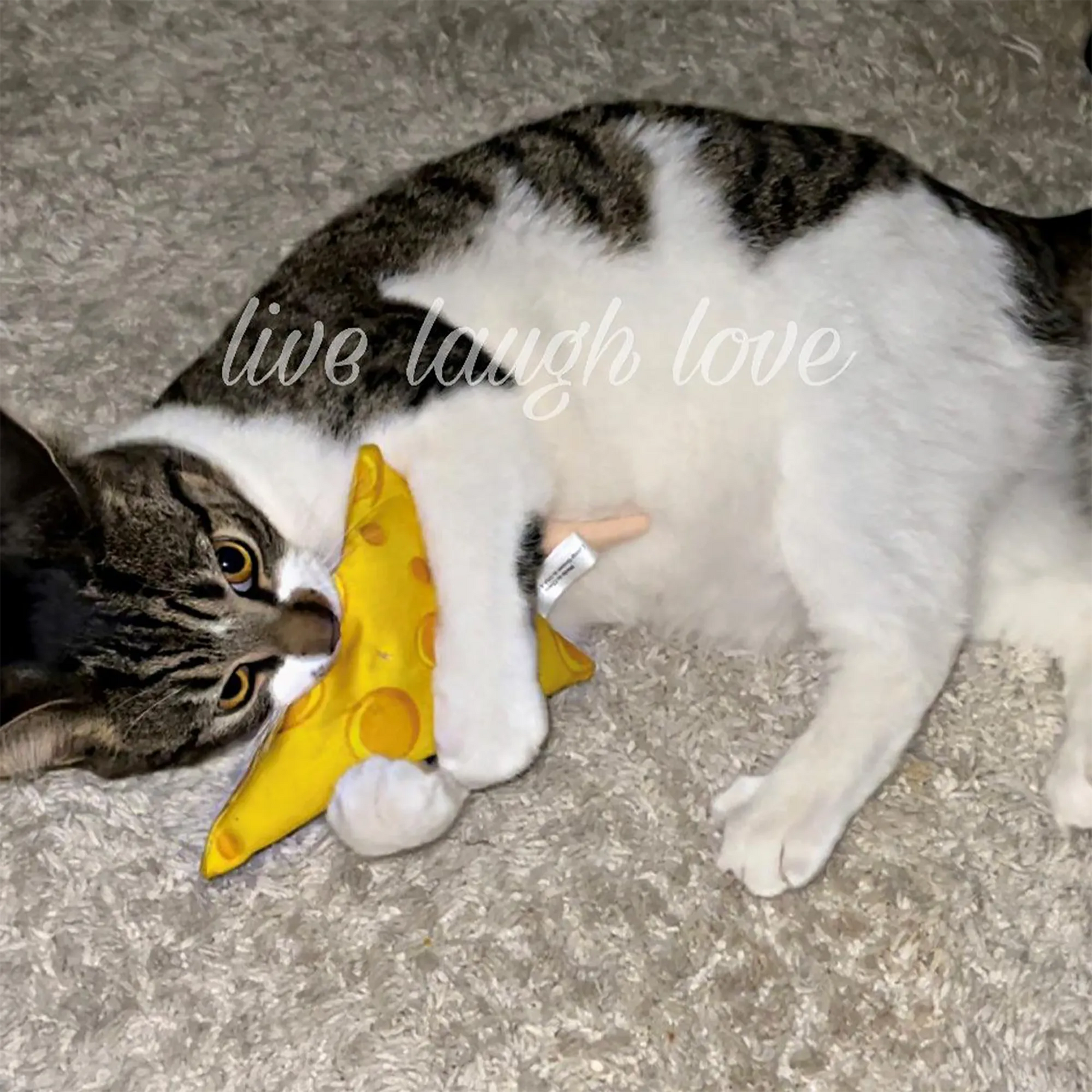 Meowijuana® Get Cheezy Cheese & Mouse Refillable Cat Toy