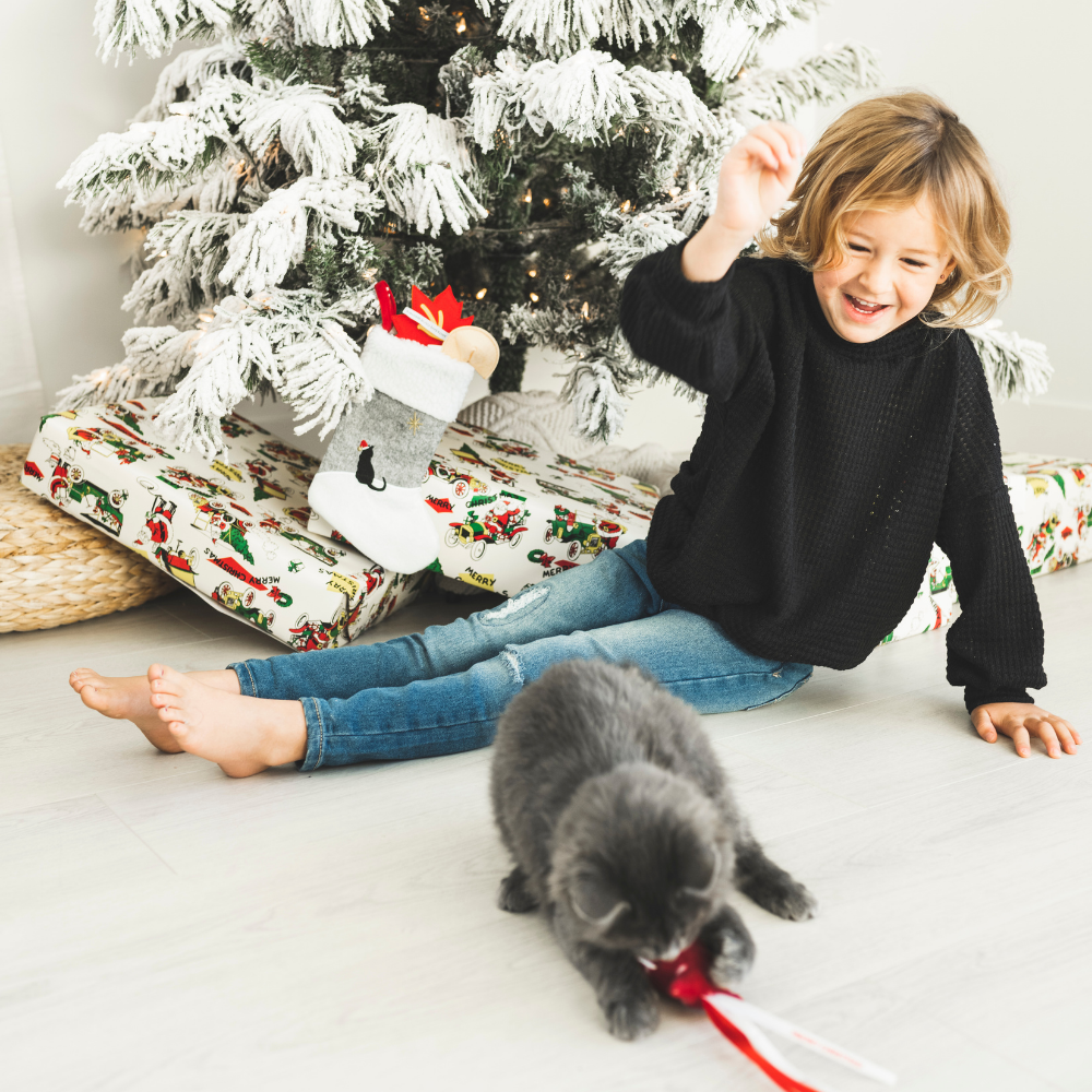 Christmas Stocking for Cats - 3 Holiday Cat Toys