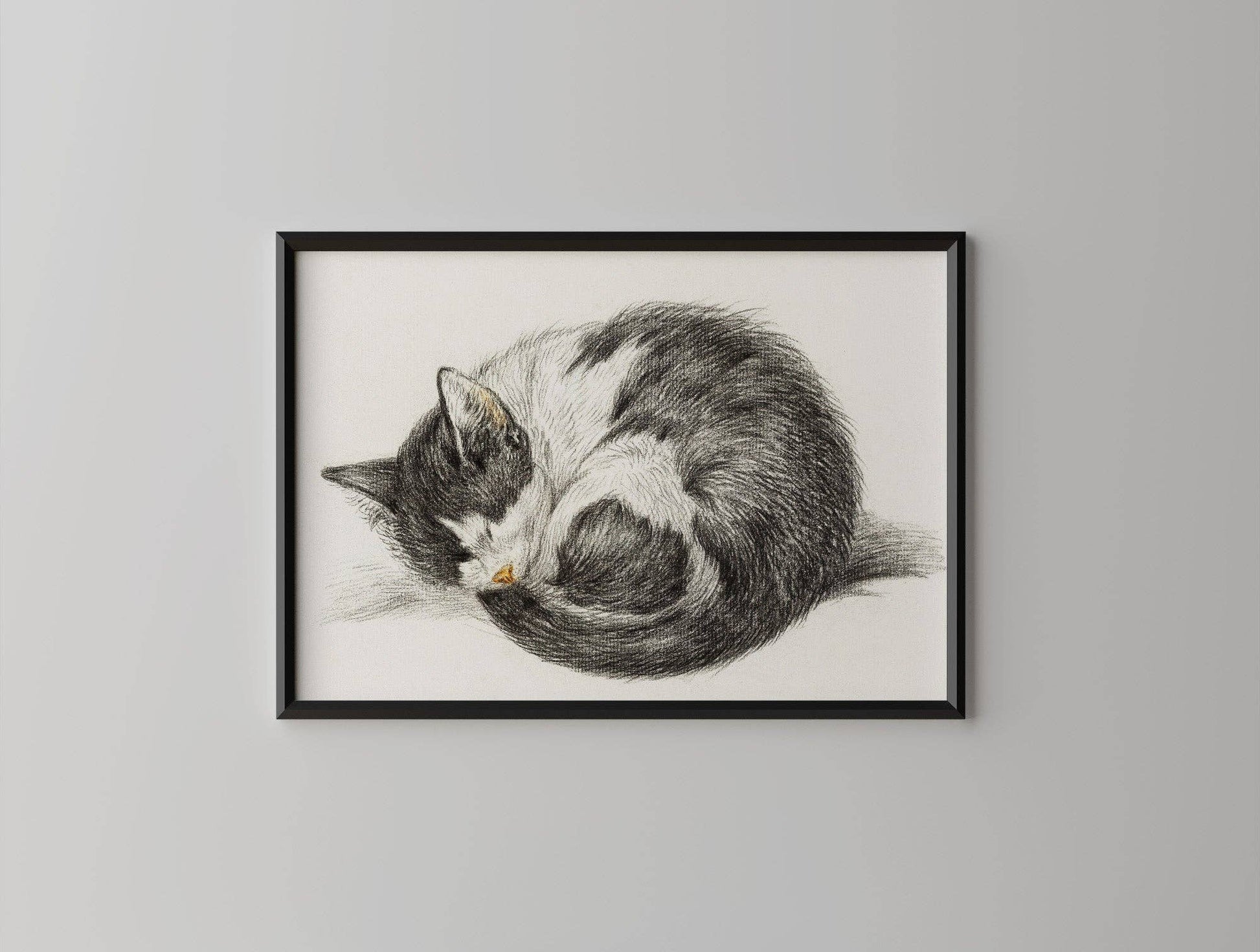 Sleeping Kitten - Vintage Art Print