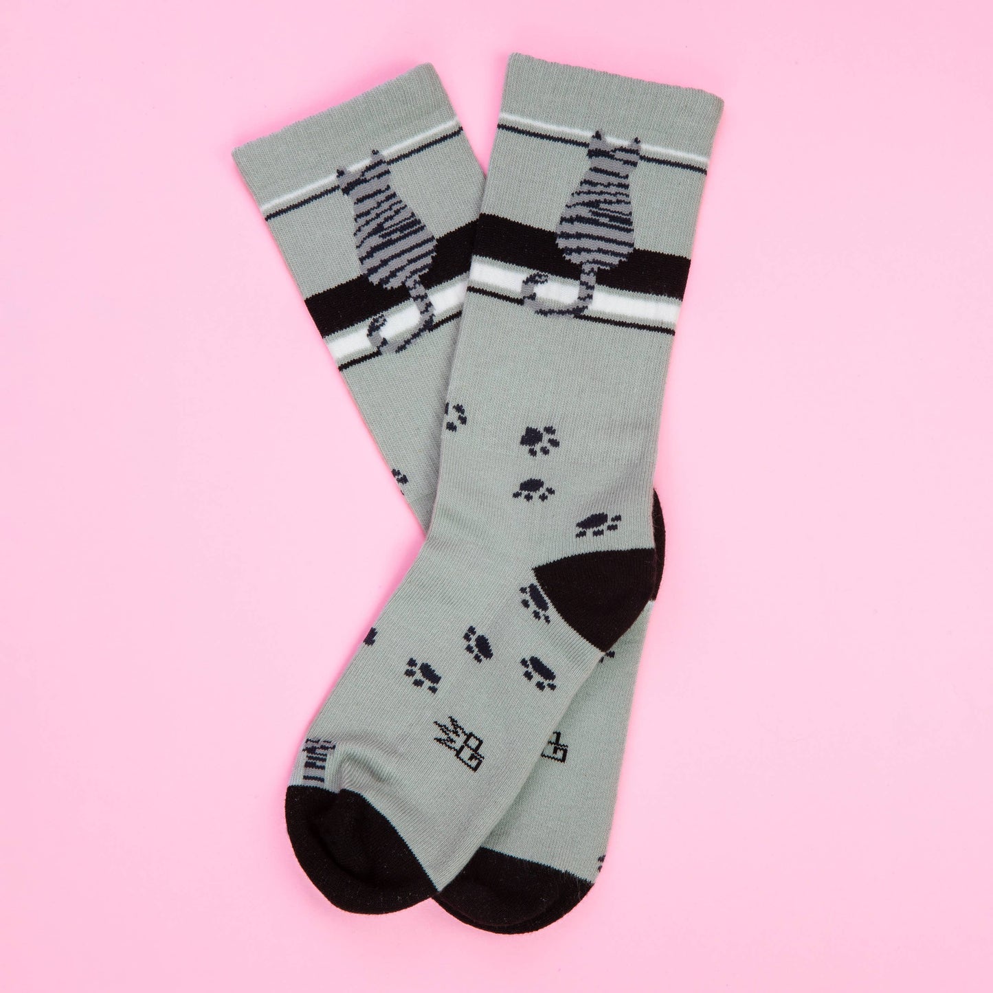 Gray Tabby Cat Gym Crew Socks