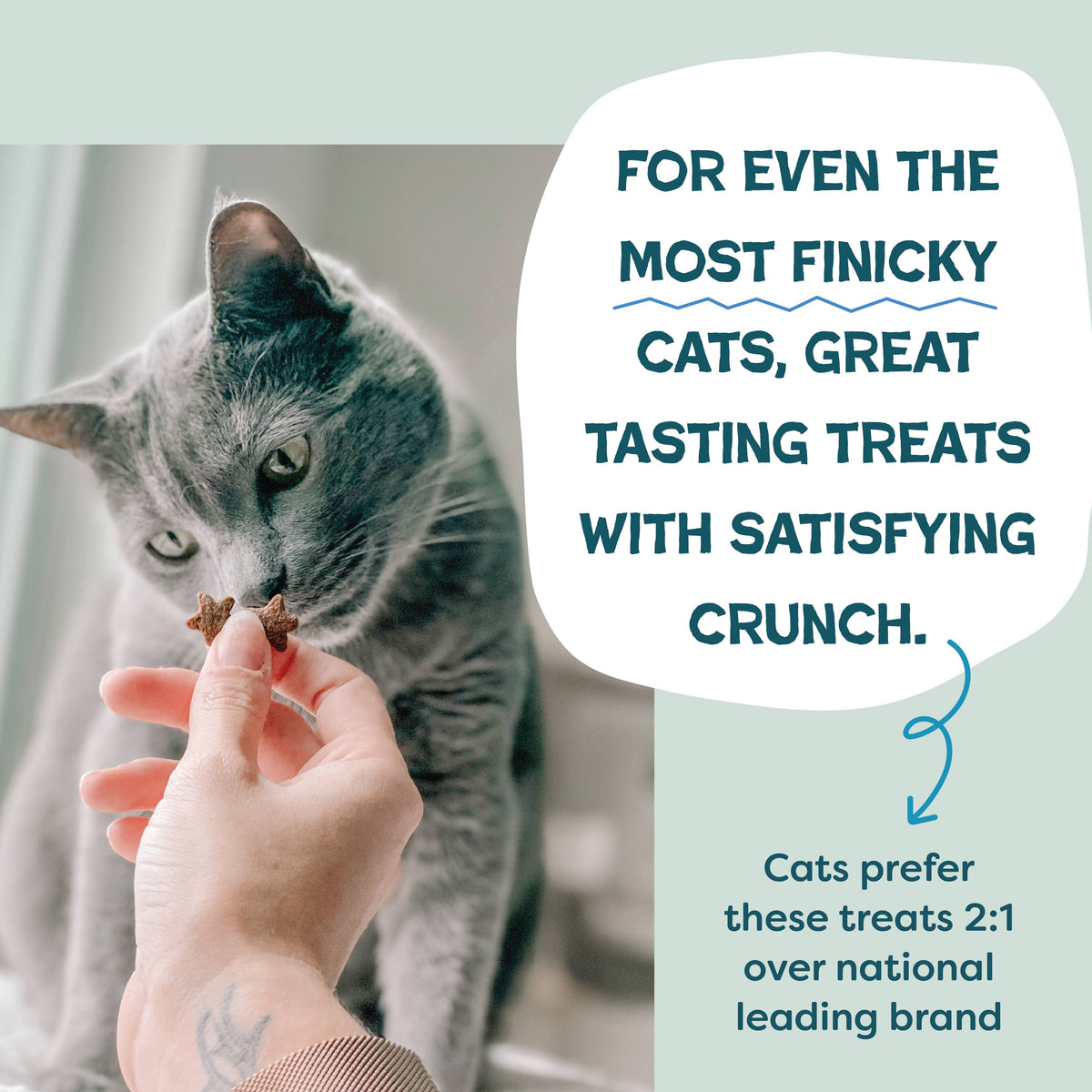 Catnip N Chill (fka Fintastic Catnip) Crunchy Cat - Tuna