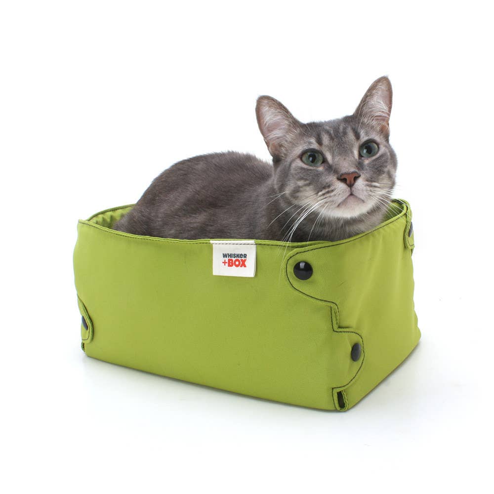 The Box - Lime Green