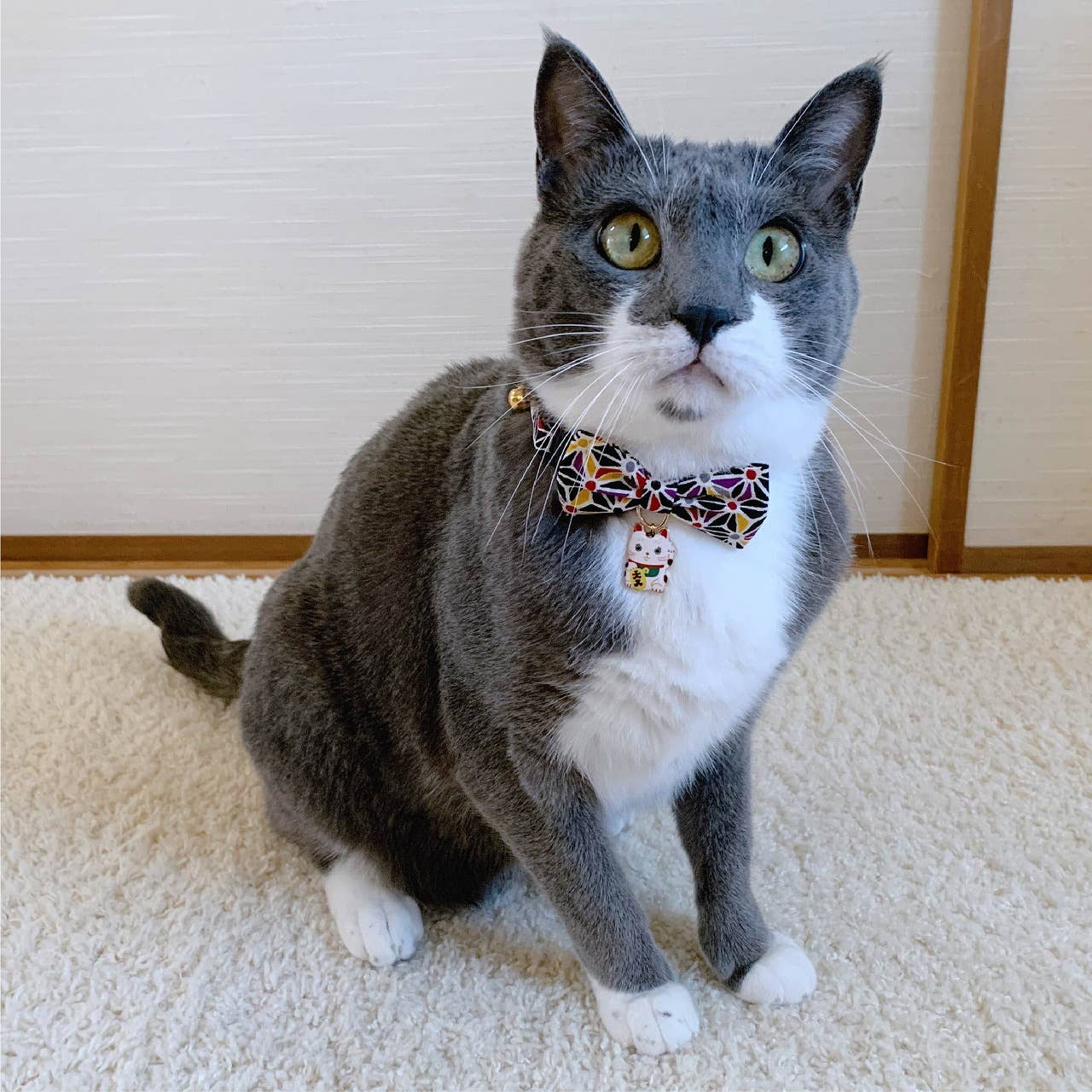 Lucky Cat Charm Bow Tie Cat Collar