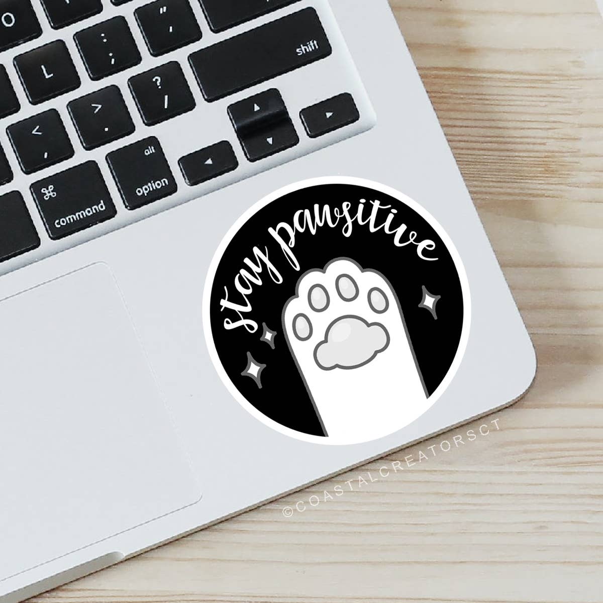 Stay Pawsitive Vinyl Sticker