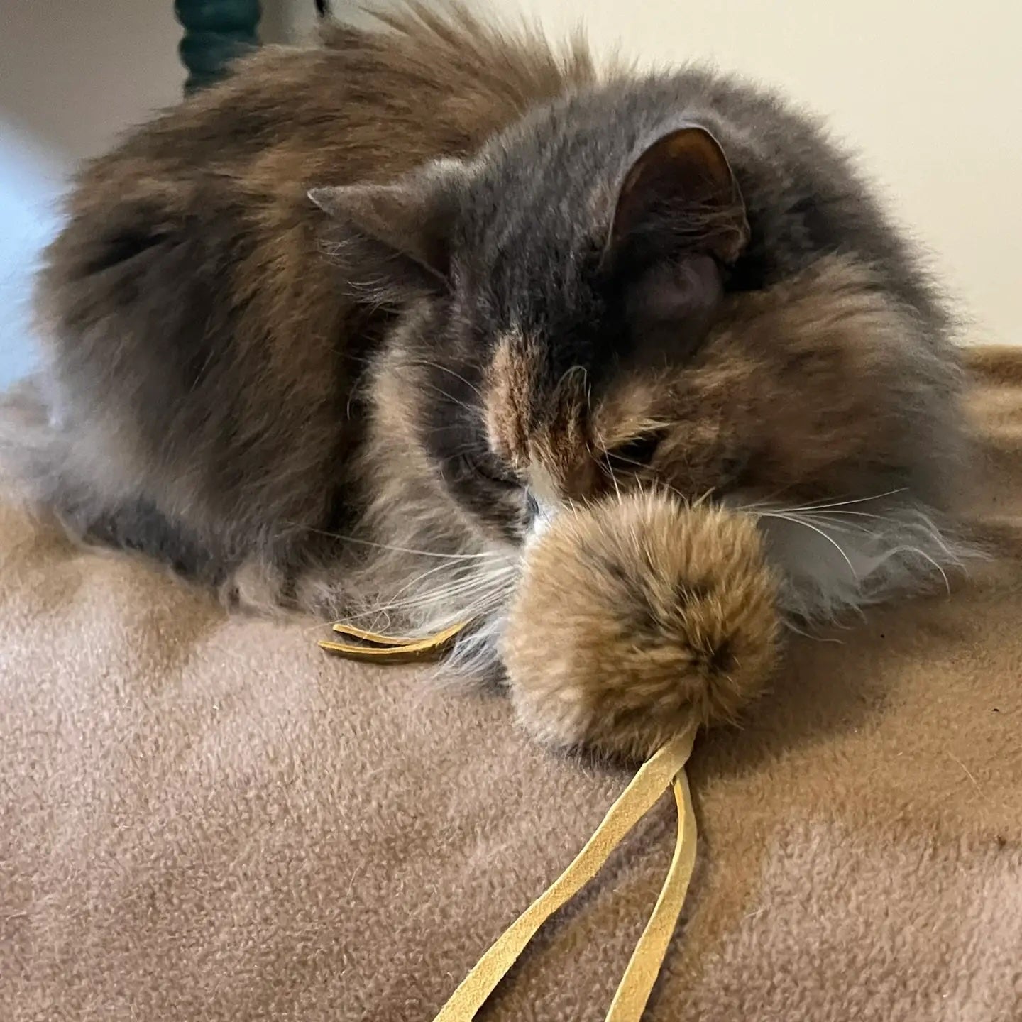 Fur Cat Toy