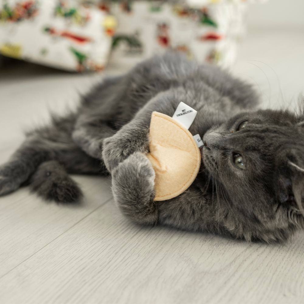 Christmas Stocking for Cats - 3 Holiday Cat Toys