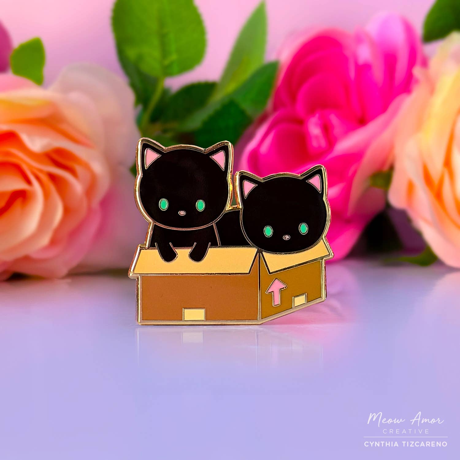 Black Cats in Box Enamel Pin