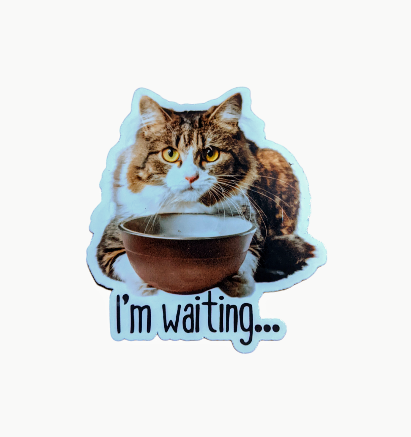 I'm waiting... Hungry Cat Vinyl Sticker