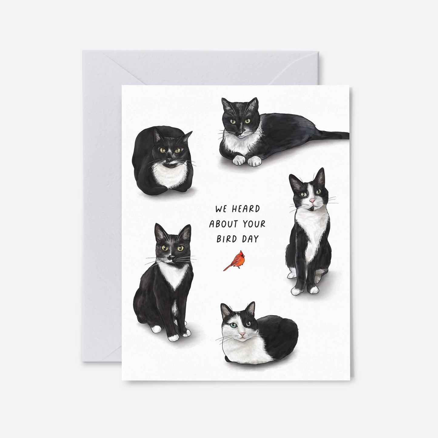 Bird Day Tuxedo Cats | Funny Birthday Greeting Cards