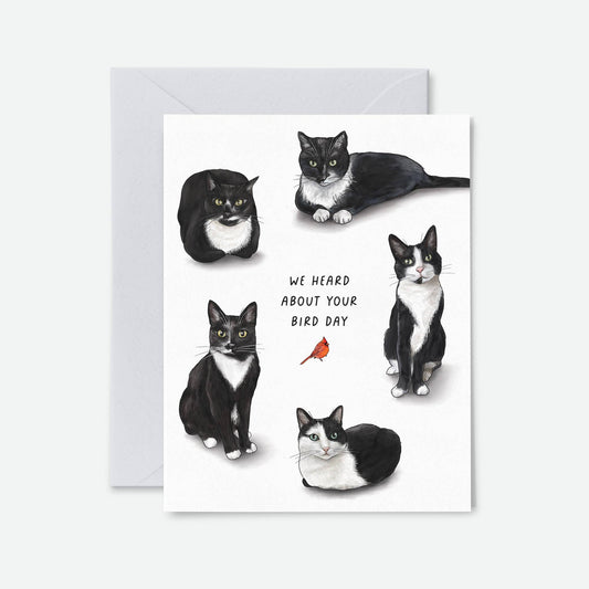 Bird Day Tuxedo Cats | Funny Birthday Greeting Cards