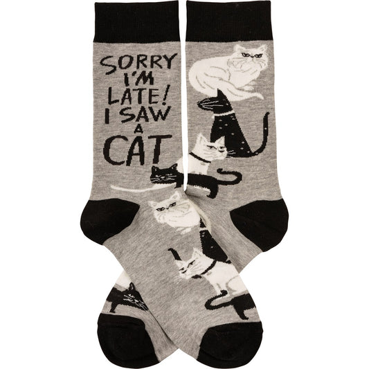 Socks - Saw A Cat