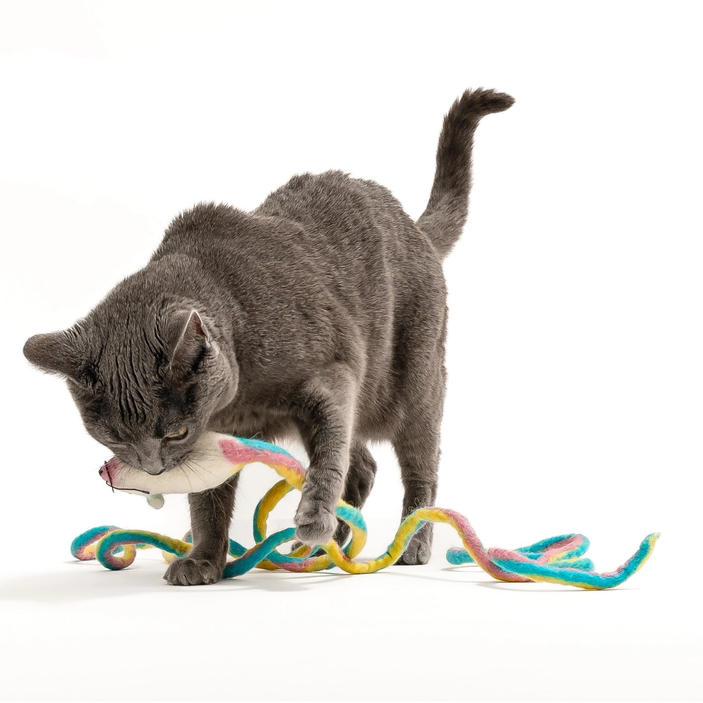 Wool Mouse Cat Toy With 6-Foot-Long Tail